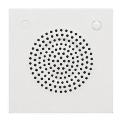 Dual Channel Bluetooth hátalari
