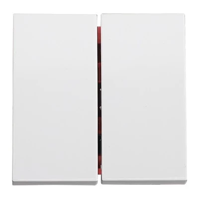 Two Gang 10A Switch
